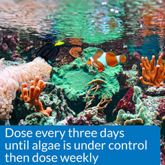 API MARINE ALGAEFIX: vista frontal de la botella para uso en acuarios