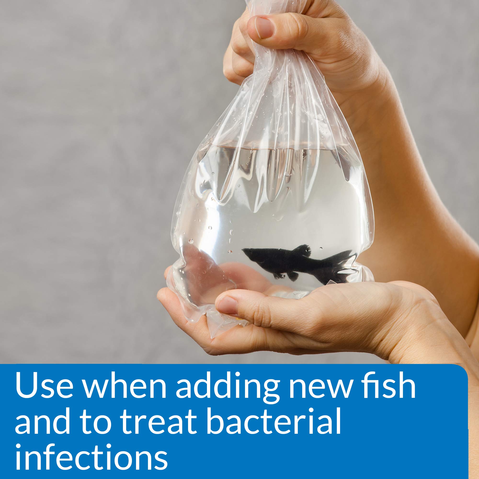 API Melafix aplicándose diariamente para infecciones bacterianas en peces.