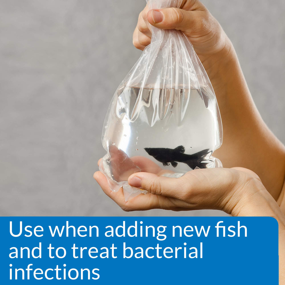 API Melafix aplicándose diariamente para infecciones bacterianas en peces.