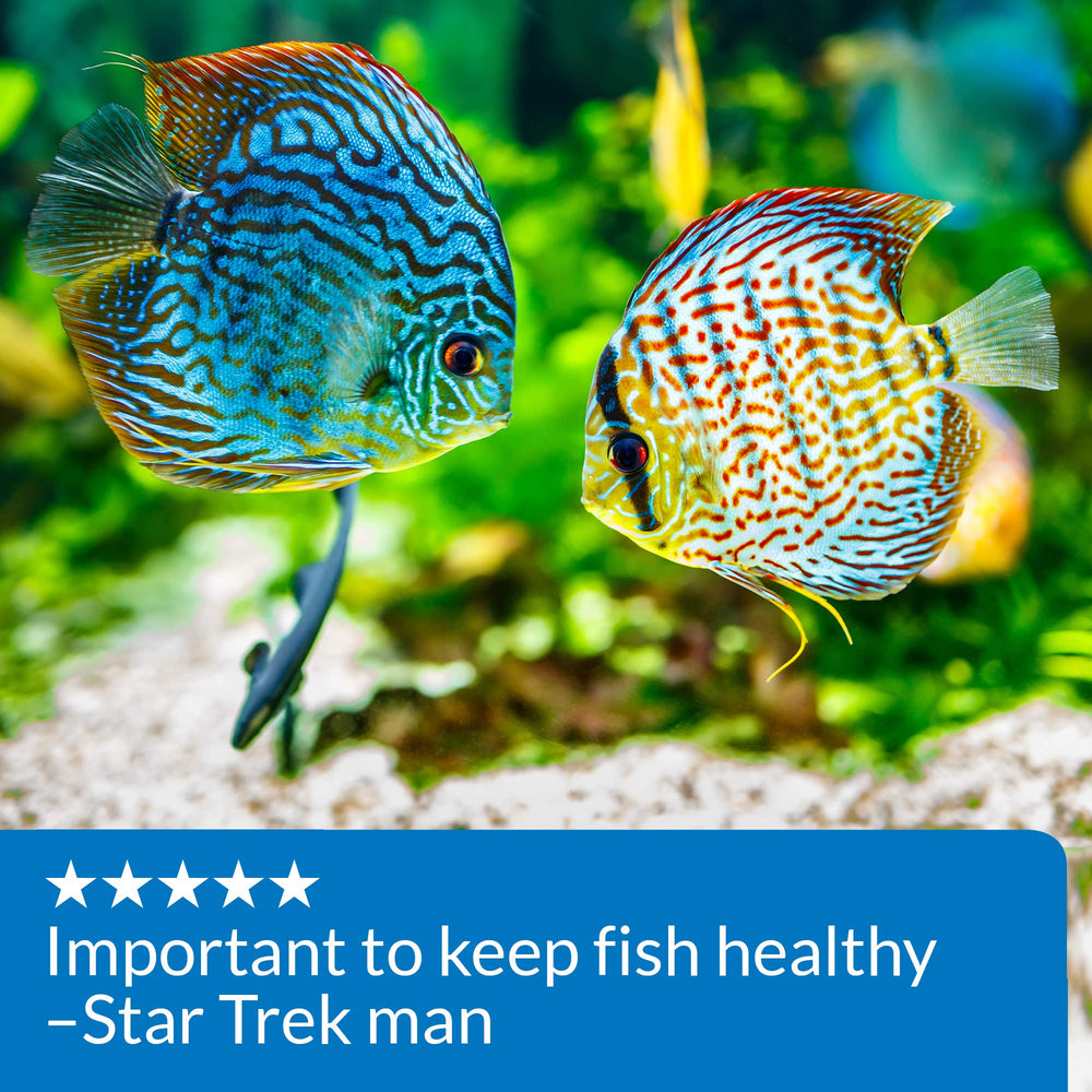 Acuario nuevo con API pH UP para comenzar con pH estable