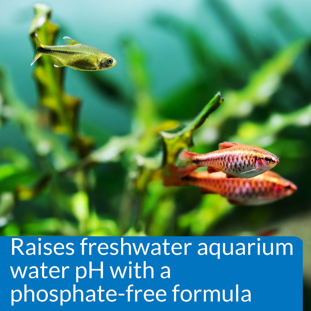 Vierte API pH UP en acuario de agua dulce para ajustar pH