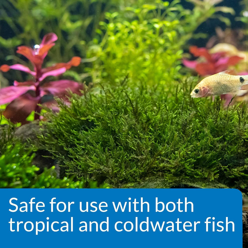 API plantas de acuario saludables gracias a las tabletas de raíz.