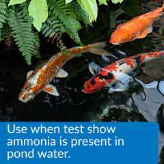 API POND AMMO-LOCK, detoxificador de amonio para agua del estanque, mejora condiciones para peces.