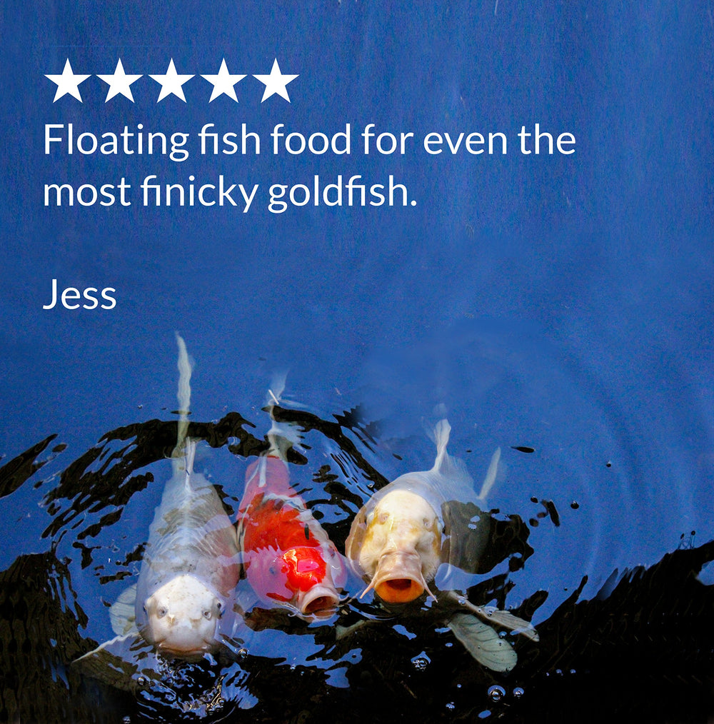 API Pond Fish Food promueve una alimentación fácil y ordenada para estanques.