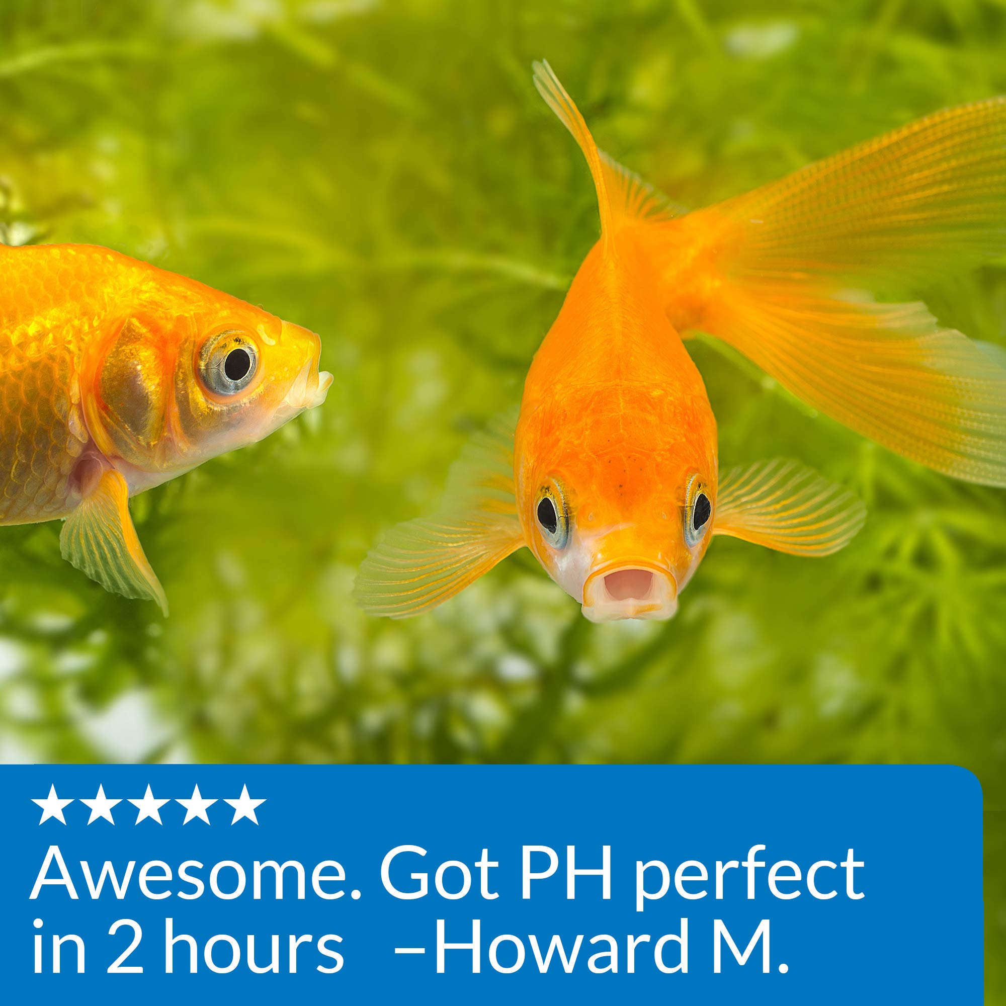 Ideal al montar un acuario nuevo para un inicio suave de los peces.