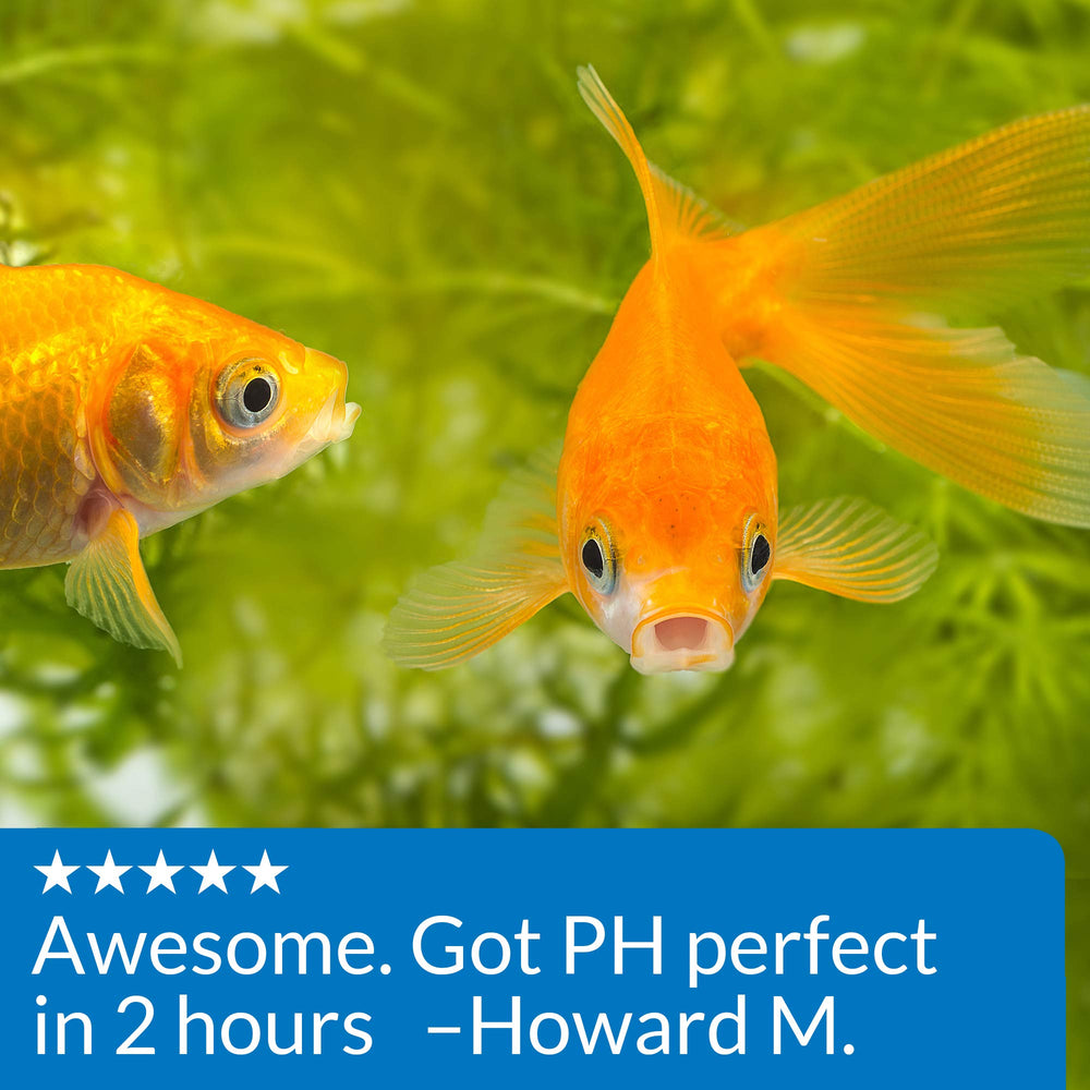 Ideal al montar un acuario nuevo para un inicio suave de los peces.
