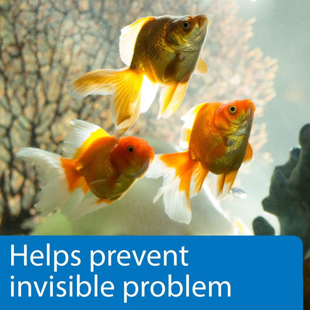 API 5-en-1 prueba de nitrito para detectar riesgos temprano en el acuario.