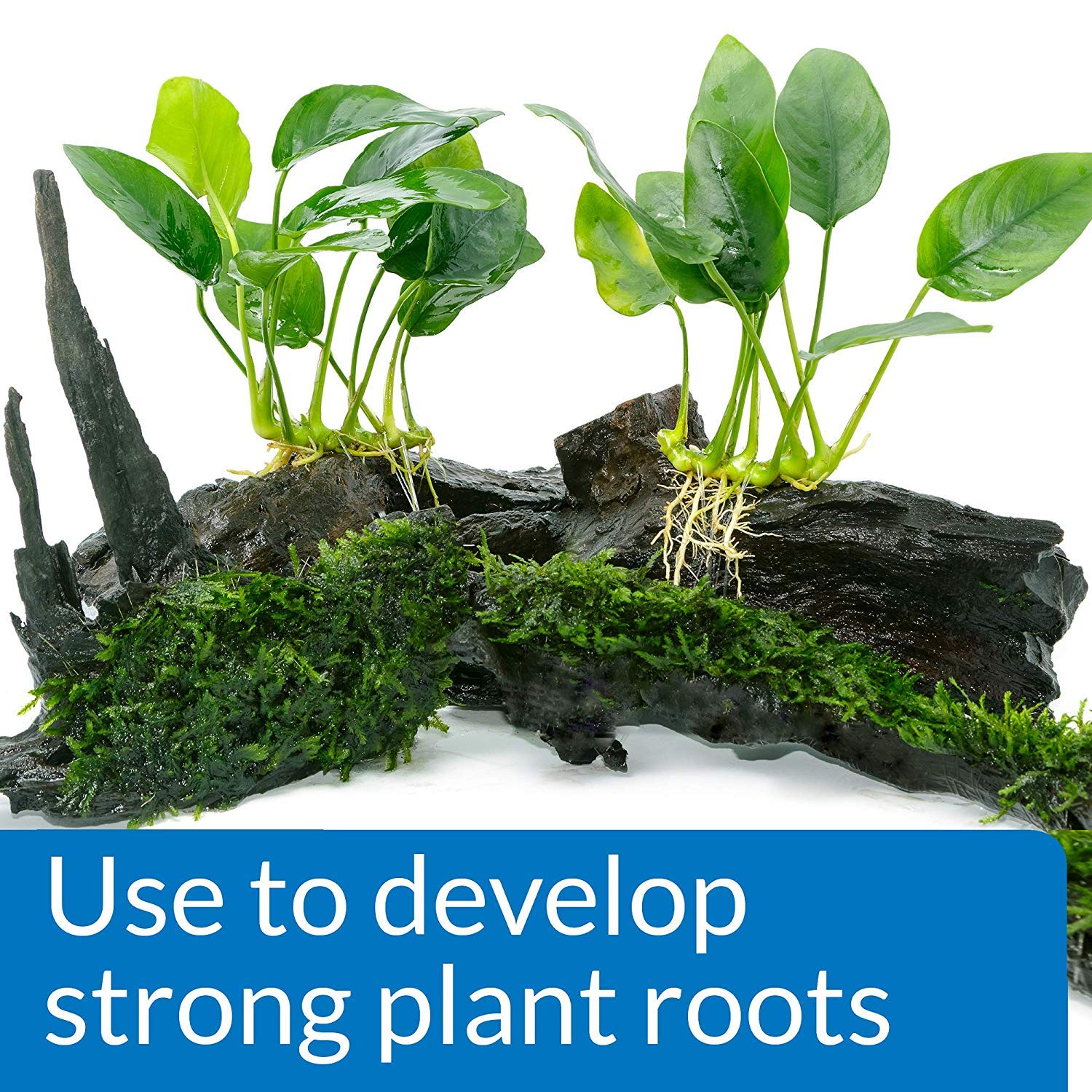 API tabletas de raíces para crecimiento vigoroso de plantas acuáticas.