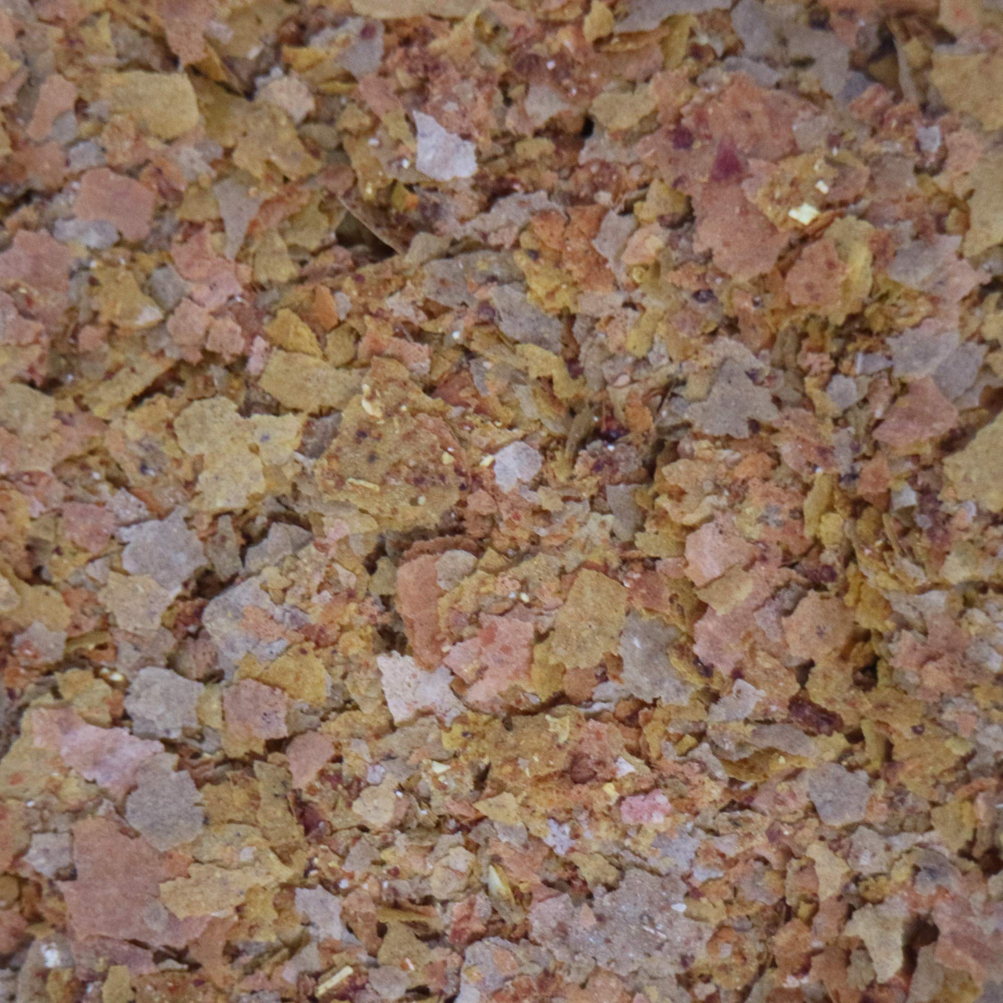 API Tropical Flakes: digestión optimizada, menos desechos y agua más clara