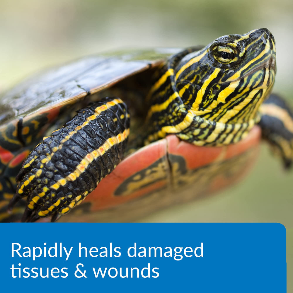 Tortugas nuevas en acuario con API Turtle Fix.