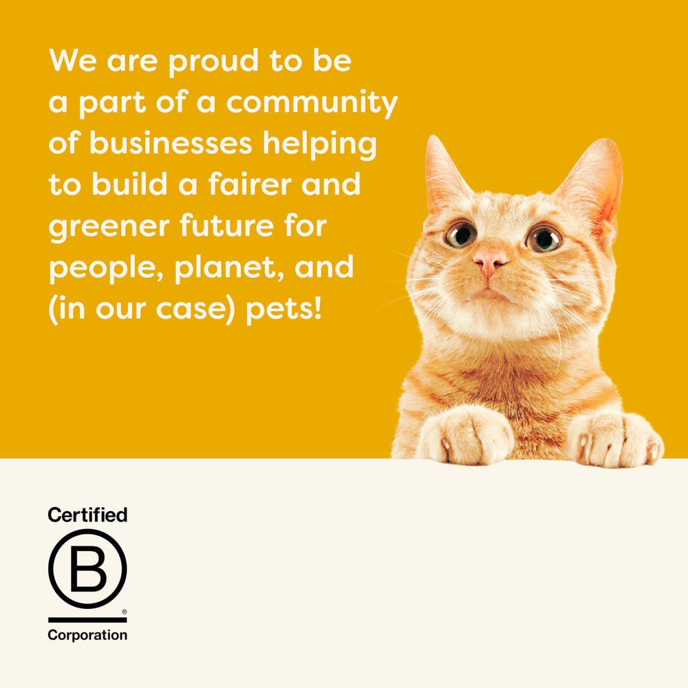 Applaws gato, compromiso B Corp con calidad responsable para el planeta.