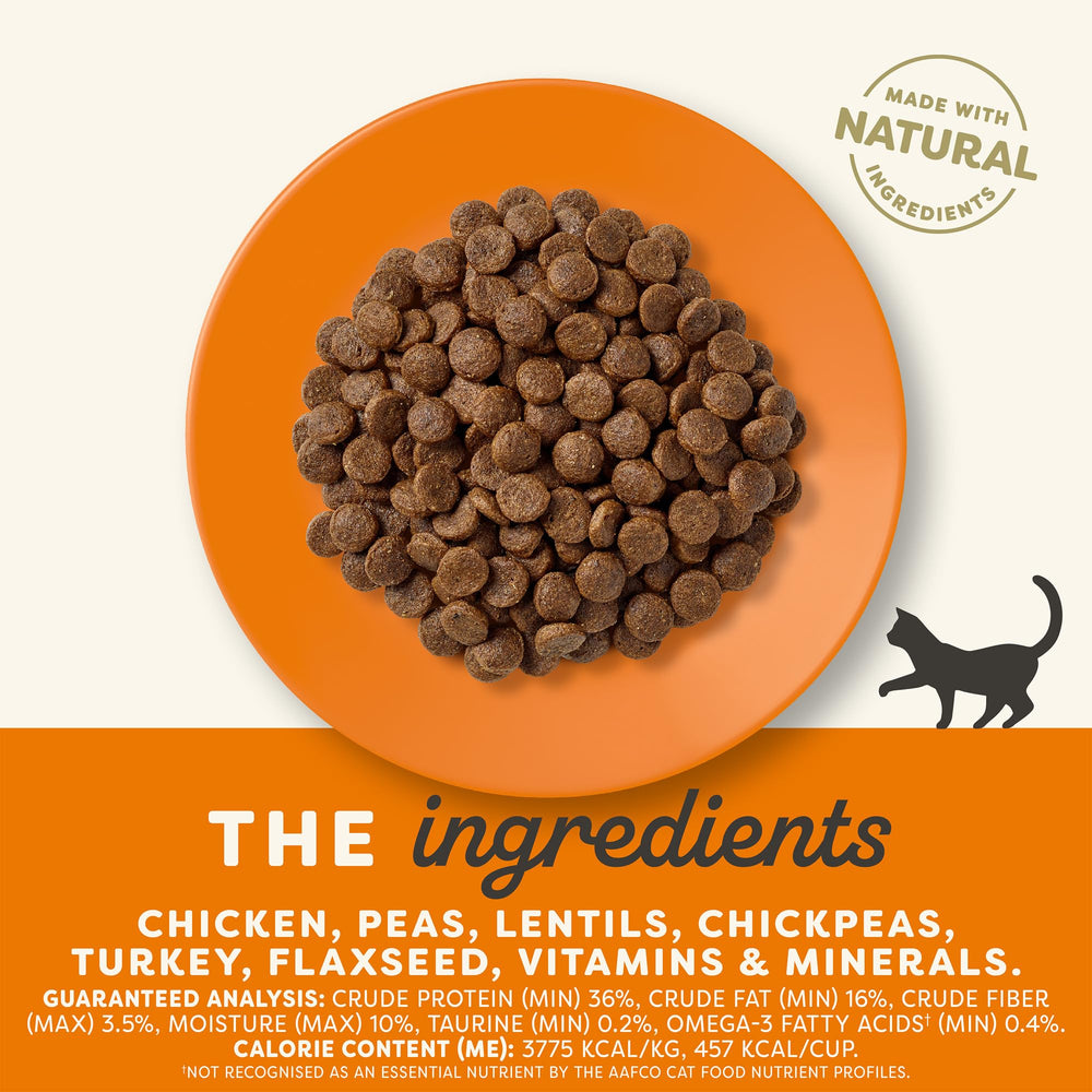 Applaws proteína alta, primer ingrediente, enfoque en gatos activos y vibrantes.