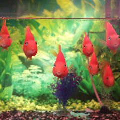 AQUANEAT criador de acuario con dimensiones de 6-25 x 5-5 x 6-25 pulgadas