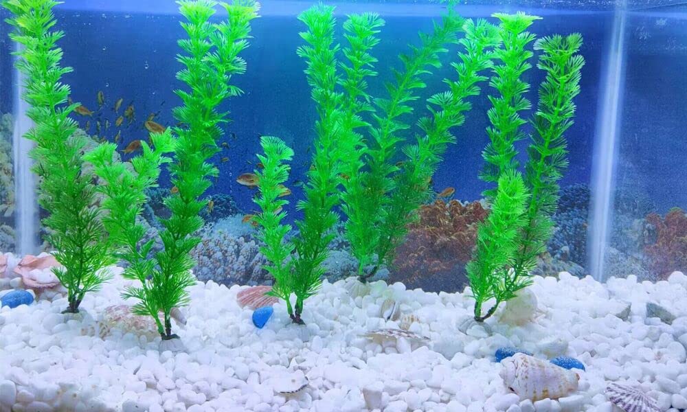 AQUANEAT planta artificial con base gruesa, base estable evita flotación.