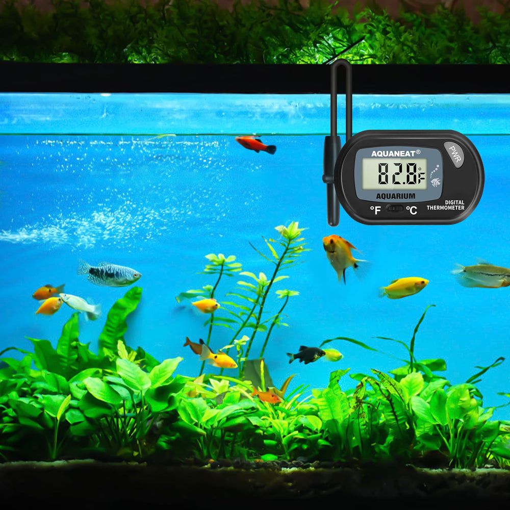 Rango de temperatura amplio de AQUANEAT para agua dulce y salada.