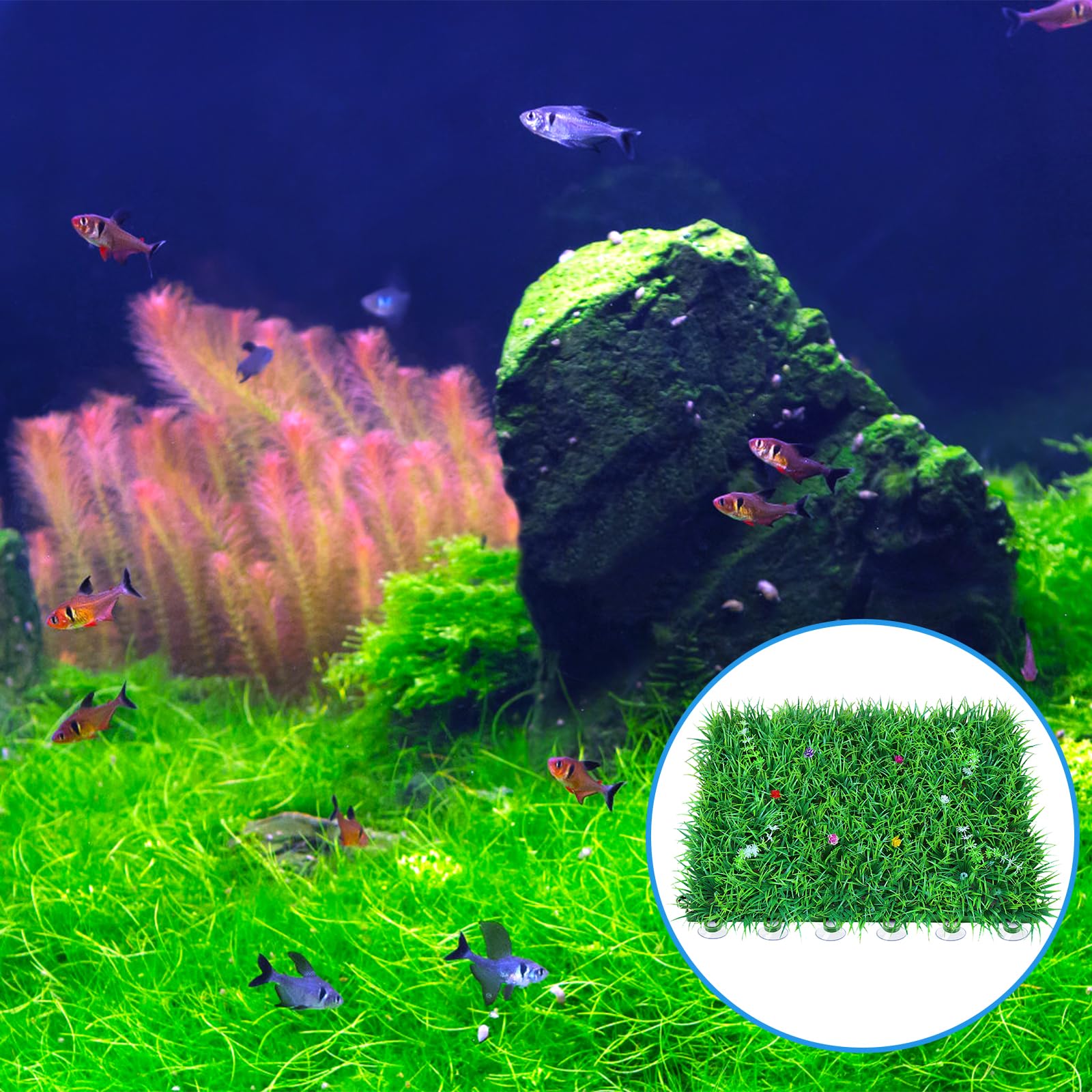 AQUANEAT ajuste fácil de bridas para soportar tuberías y decoraciones