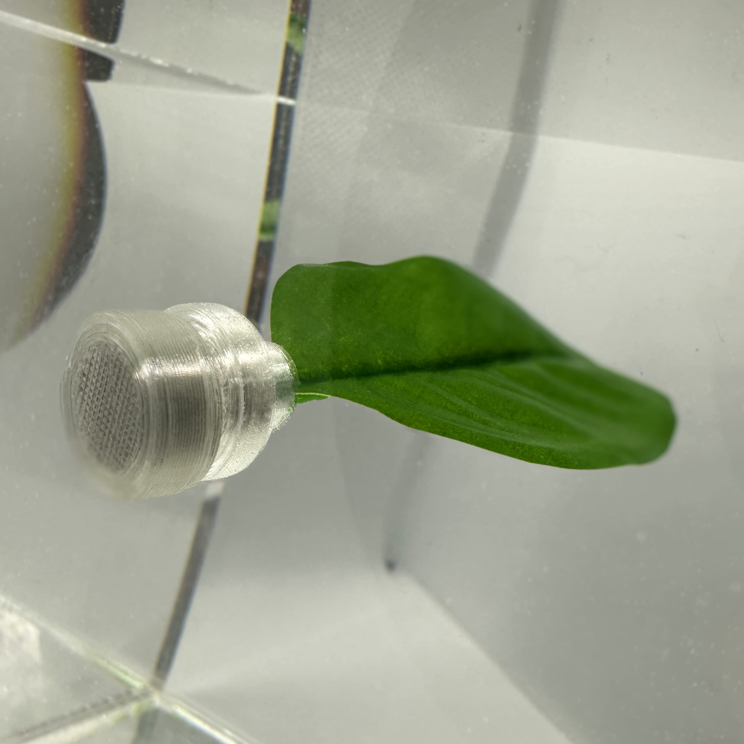 Aquarigram anillo alimento acuario: facilita una alimentación precisa sin dispersión.