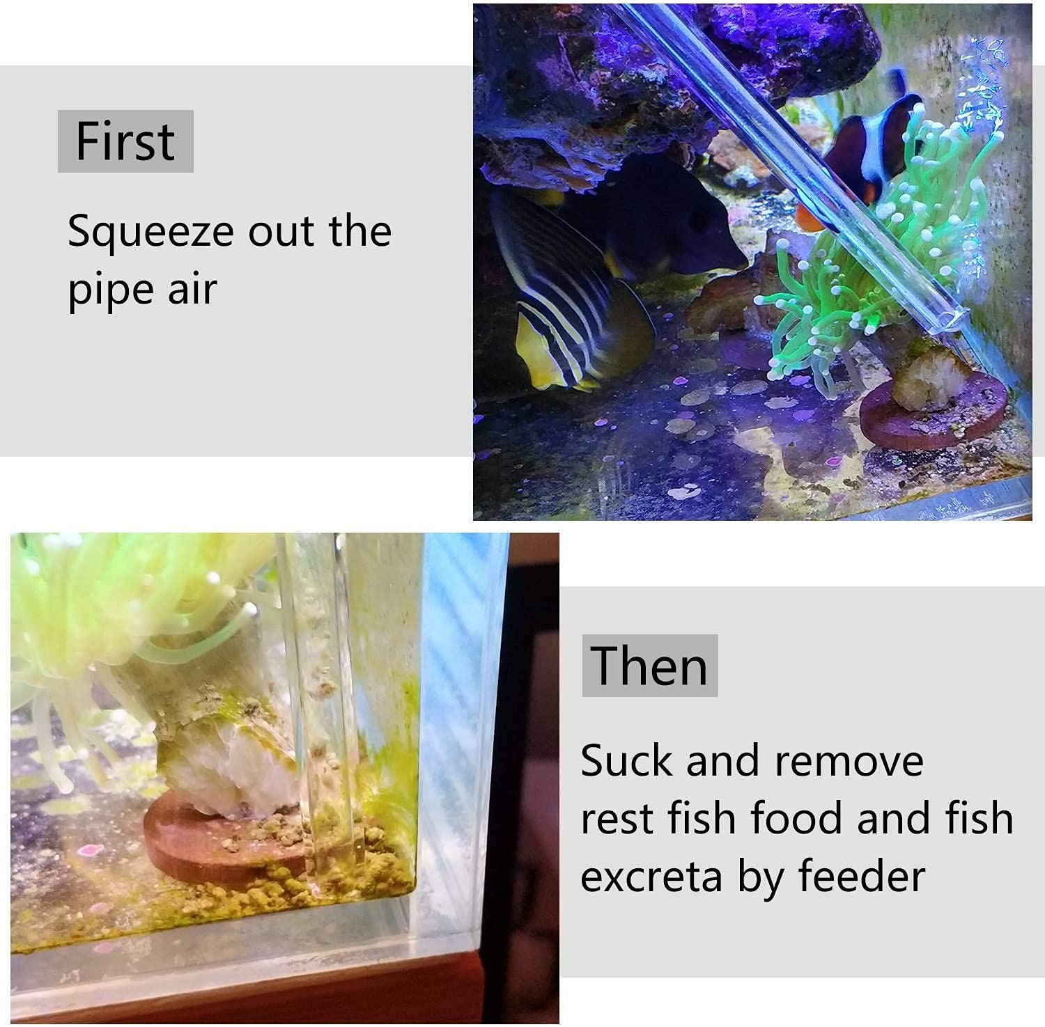 Accesorios de limpieza Aquarium Choice para corales, mantenimiento sencillo.