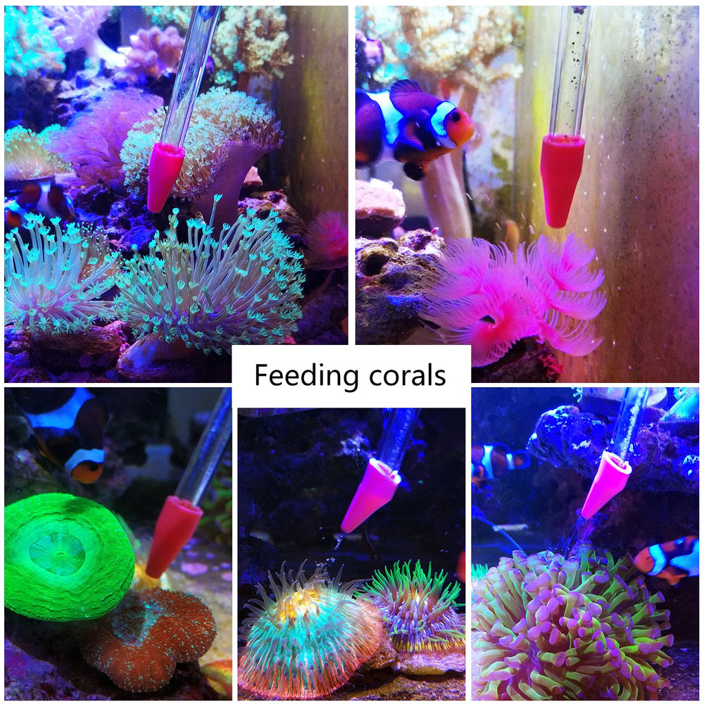 Boquilla y tapa desmontables facilitan la limpieza de Aquarium Choice.
