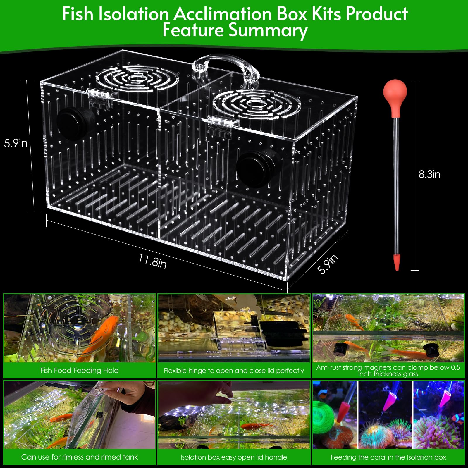 Aquarium Choice, vista frontal de la caja de aclimatación magnética, instalación rápida y estable.