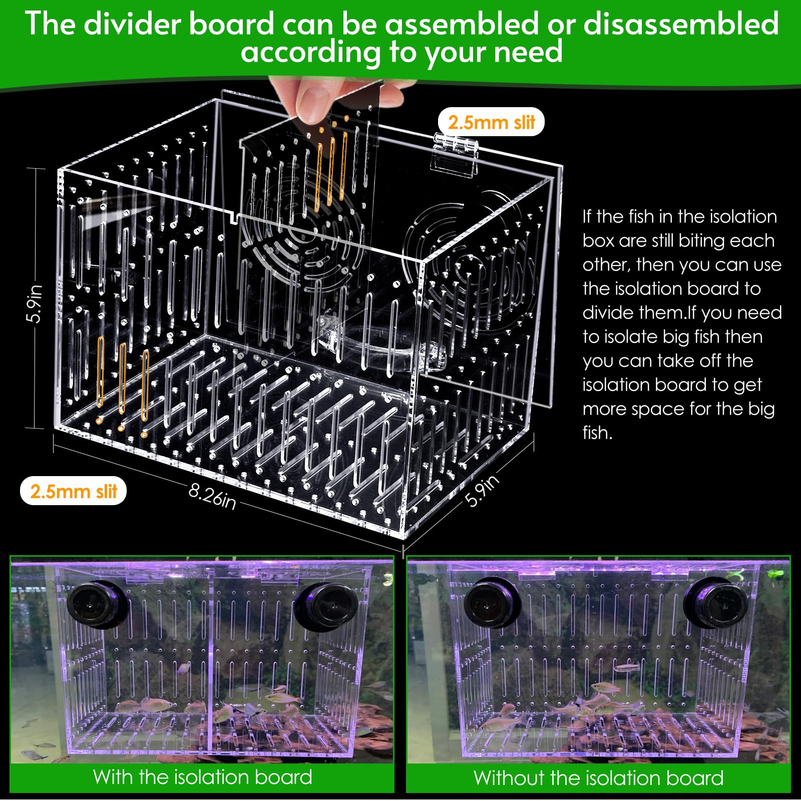 Caja magnética de Aquarium Choice fijada lateralmente para aclimatación controlada.