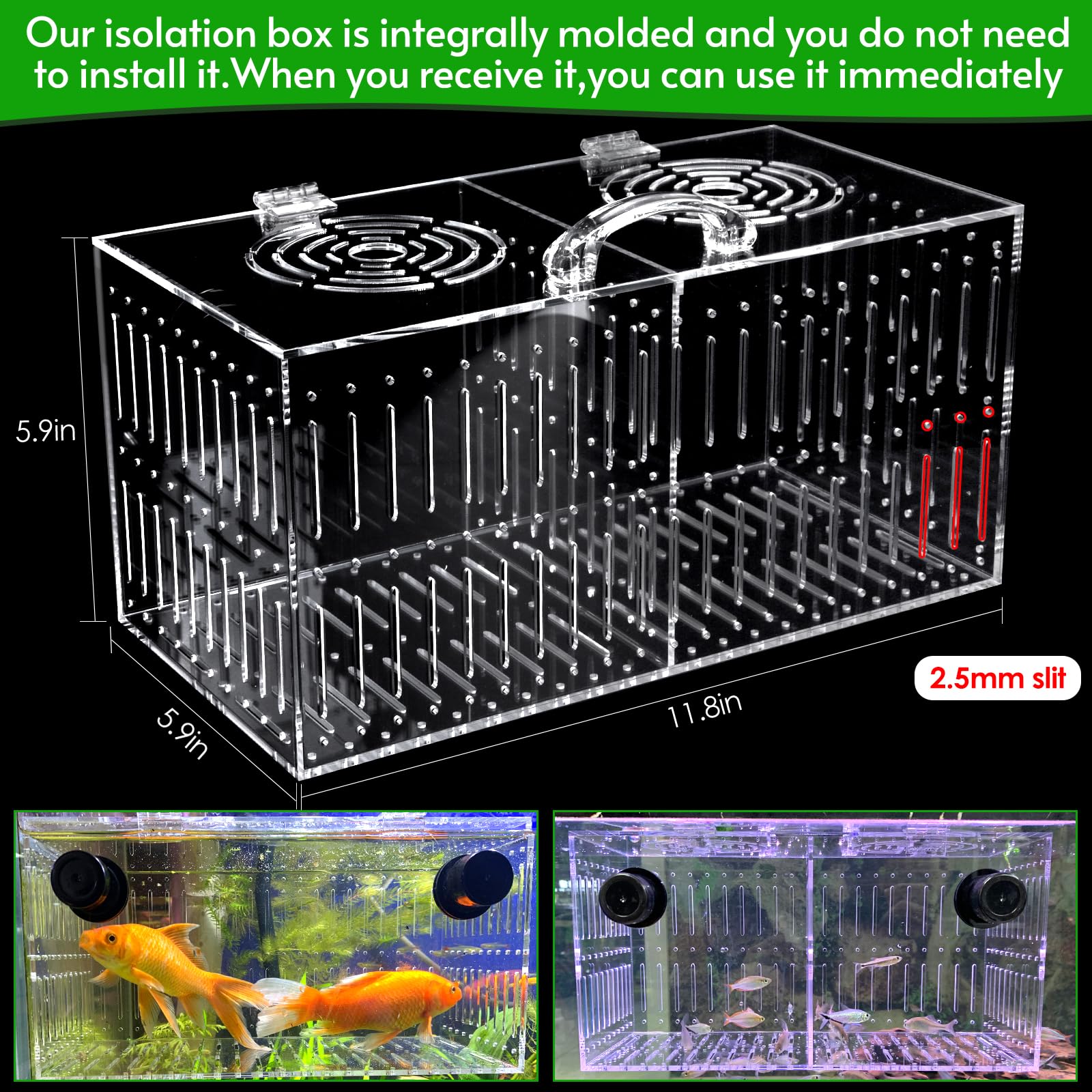 Aquarium Choice, divisor de aislamiento removible, ofrece flexibilidad para cuarentena.