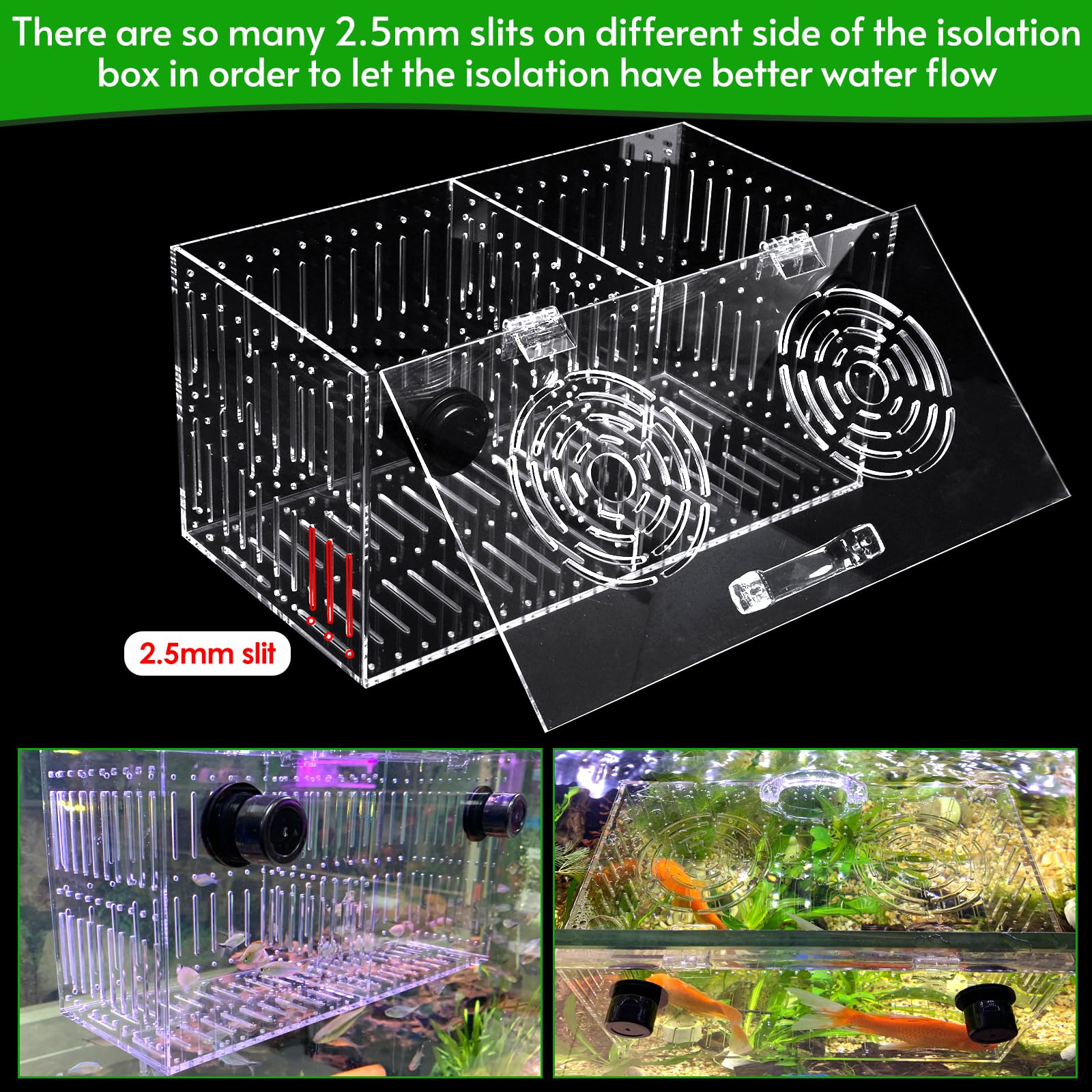 Aquarium Choice, tapa con apertura superior para alimentar sin abrir la tapa.