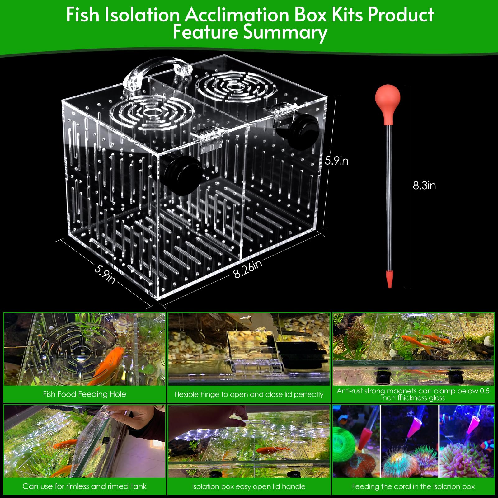 Tubo de alimentación de coral de 8,3 pulgadas para alimentación precisa.
