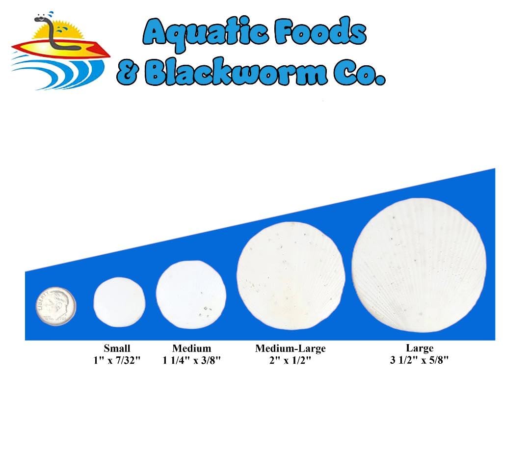 Discos calcio Aquatic Foods Inc. para crustáceos, nutrición equilibrada