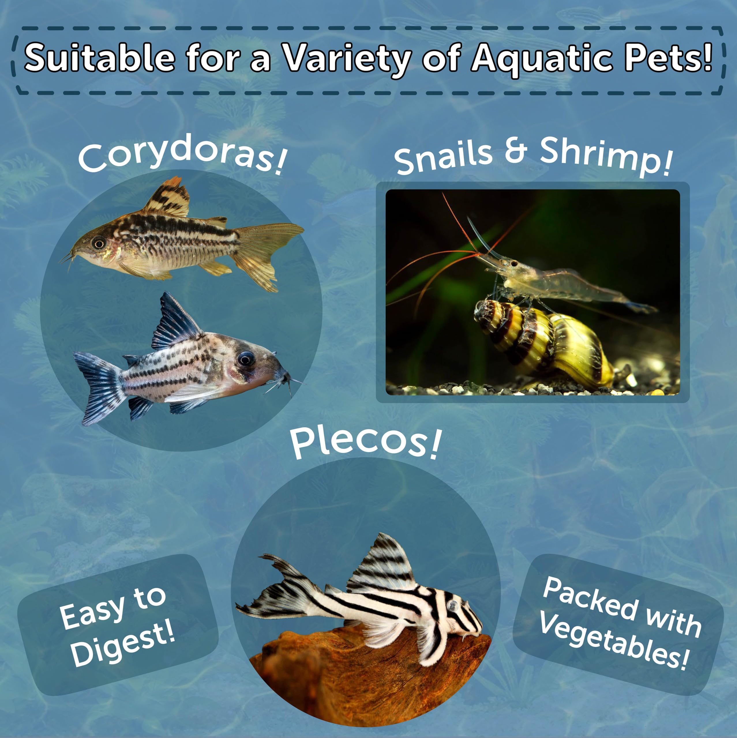 Aquatic Foods Inc. ingredientes con spirulina y algas para dieta balanceada