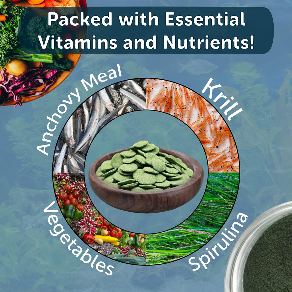 Láminas Aquatic Foods, wafers de 4 tipos para diversidad en la alimentación.