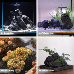 AQUATIS piedras lava volcánica para bonsai, mejor drenaje y aireación del sustrato.