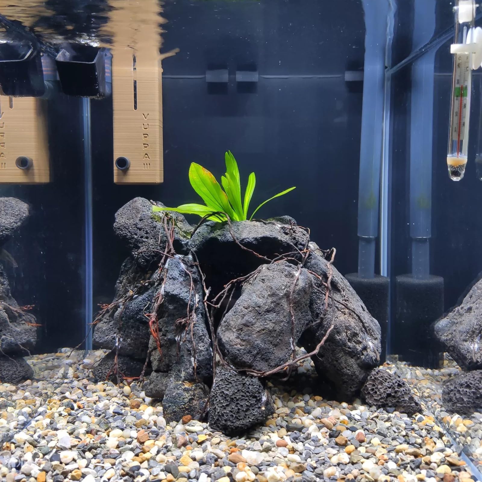 Decoración AQUATIS para acuario, terrario y paisajismo en miniatura.