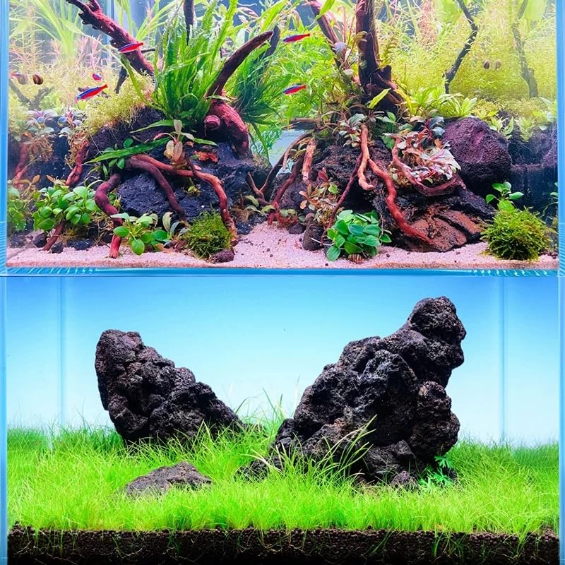 Uso versátil AQUATIS para interior y exterior: acuario, bonsai y jardinería.