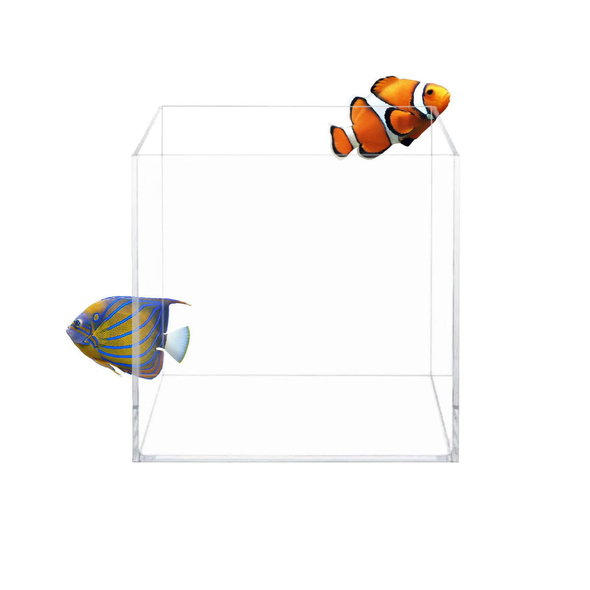 Aquatop cubo de vidrio de alta claridad para agua dulce y salada