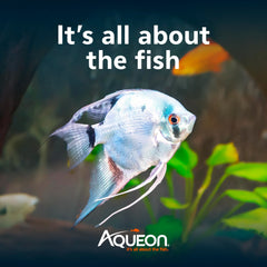 Aqueon Alimento cíclidos, alimentación en agua, fomenta crecimiento saludable.