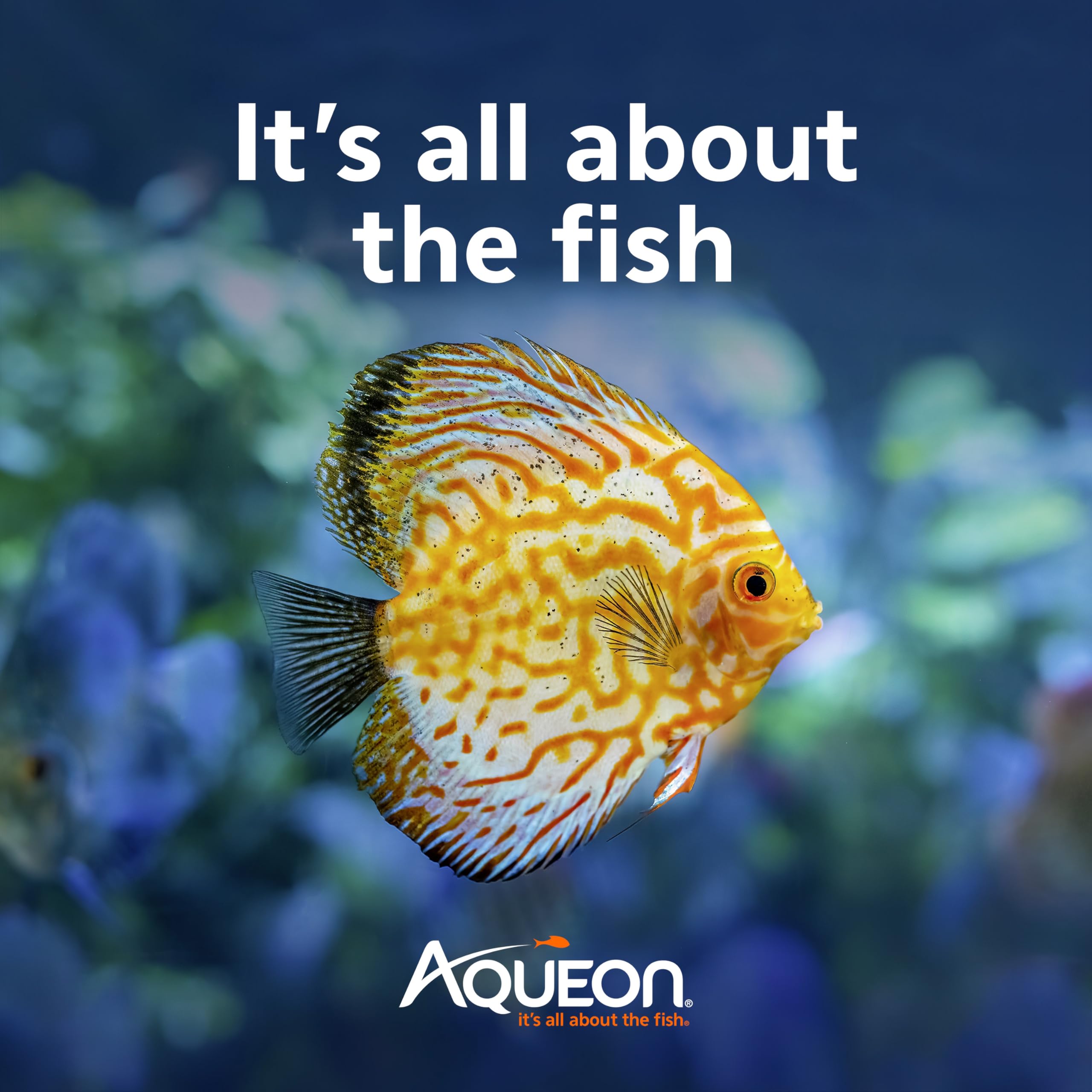 Aqueon AquaPacs bola clarificadora diseño práctico para uso rápido.