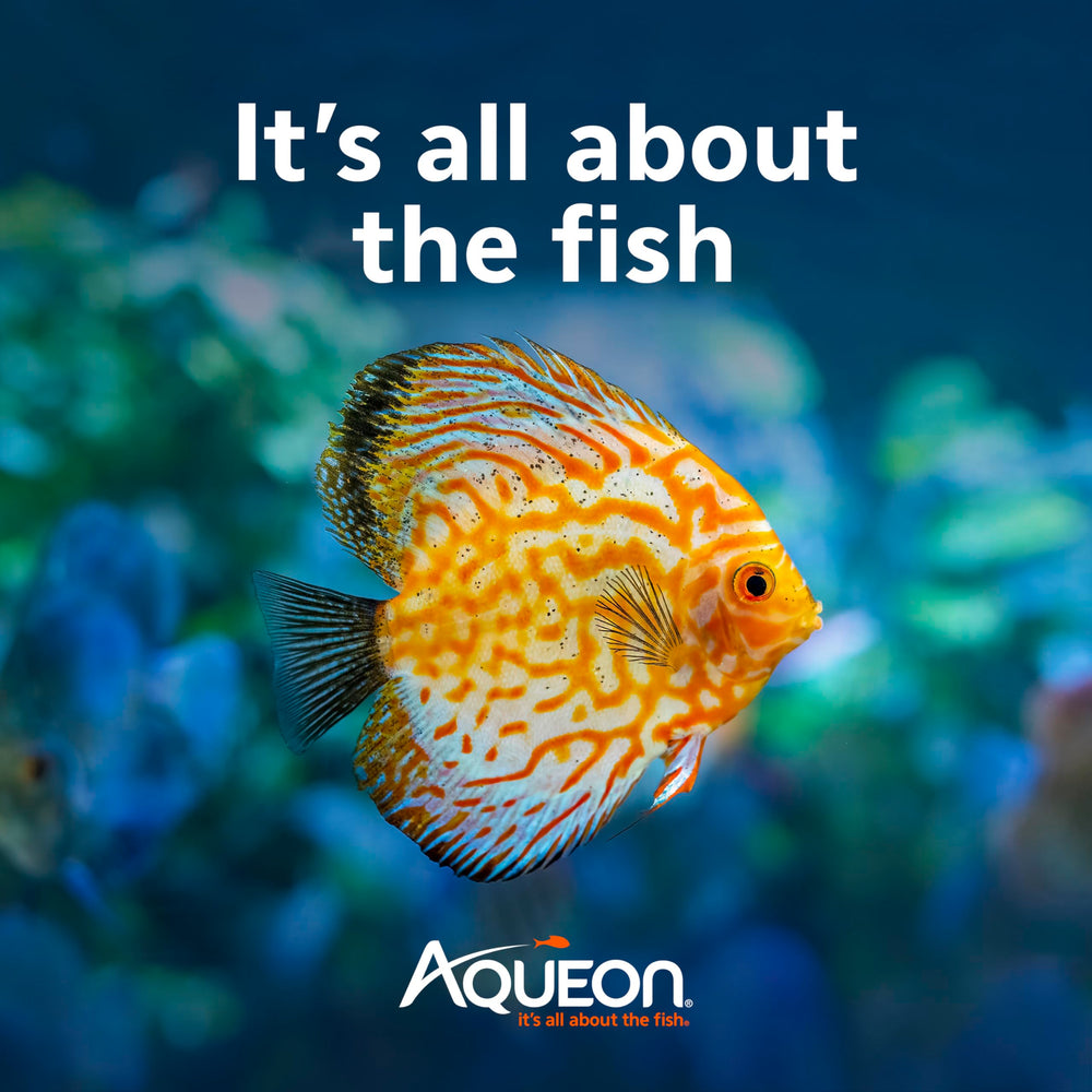 Aqueon AquaPacs bola clarificadora diseño práctico para uso rápido.