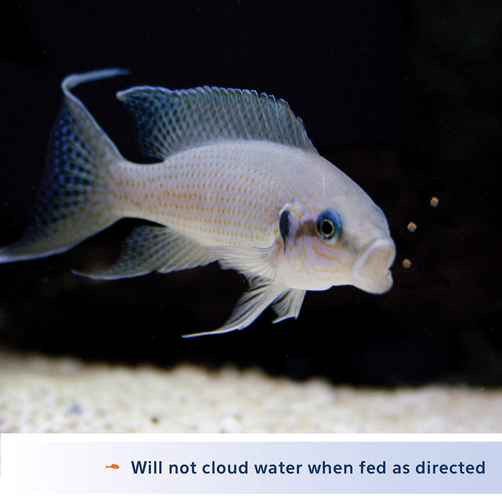 Alimento Aqueon Cichlid Mini: gránulos pequeños, adecuados para cíclidos pequeños.