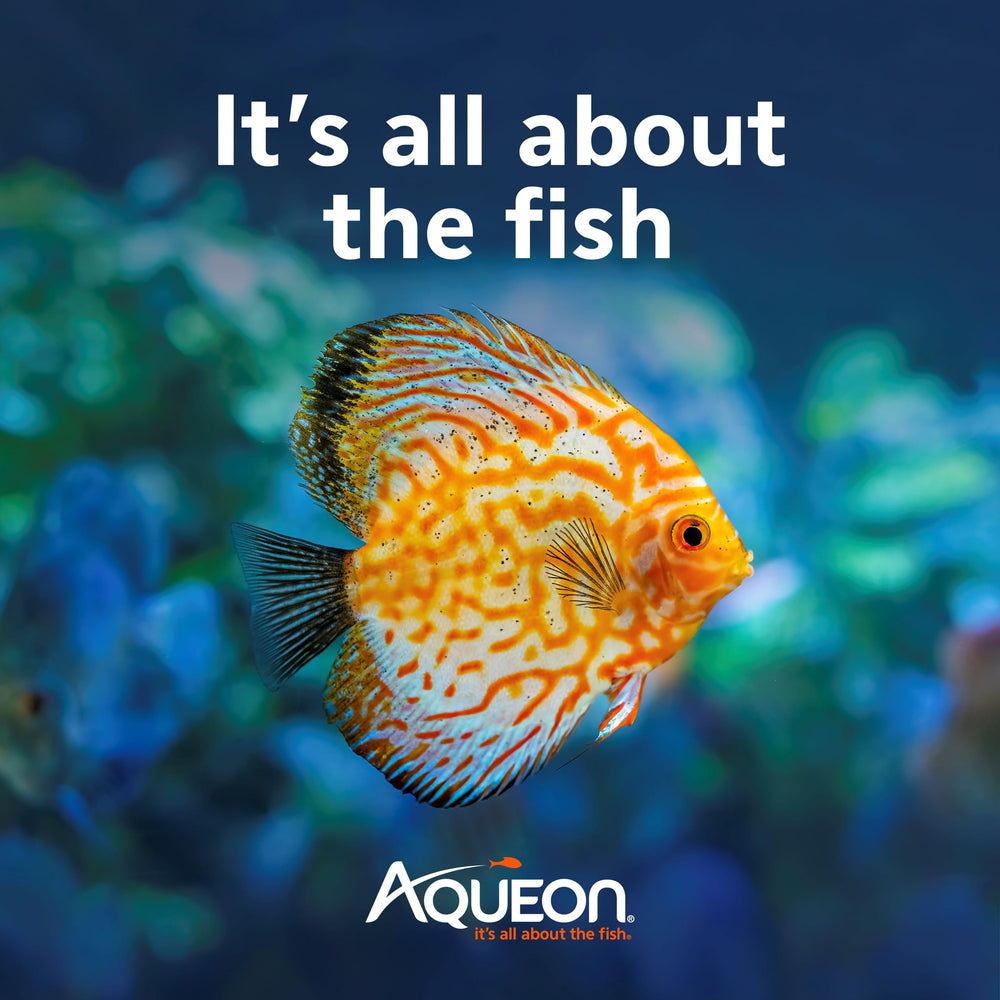Aqueon Omnívoro Discos proteico, alimento versátil para gambas en acuario