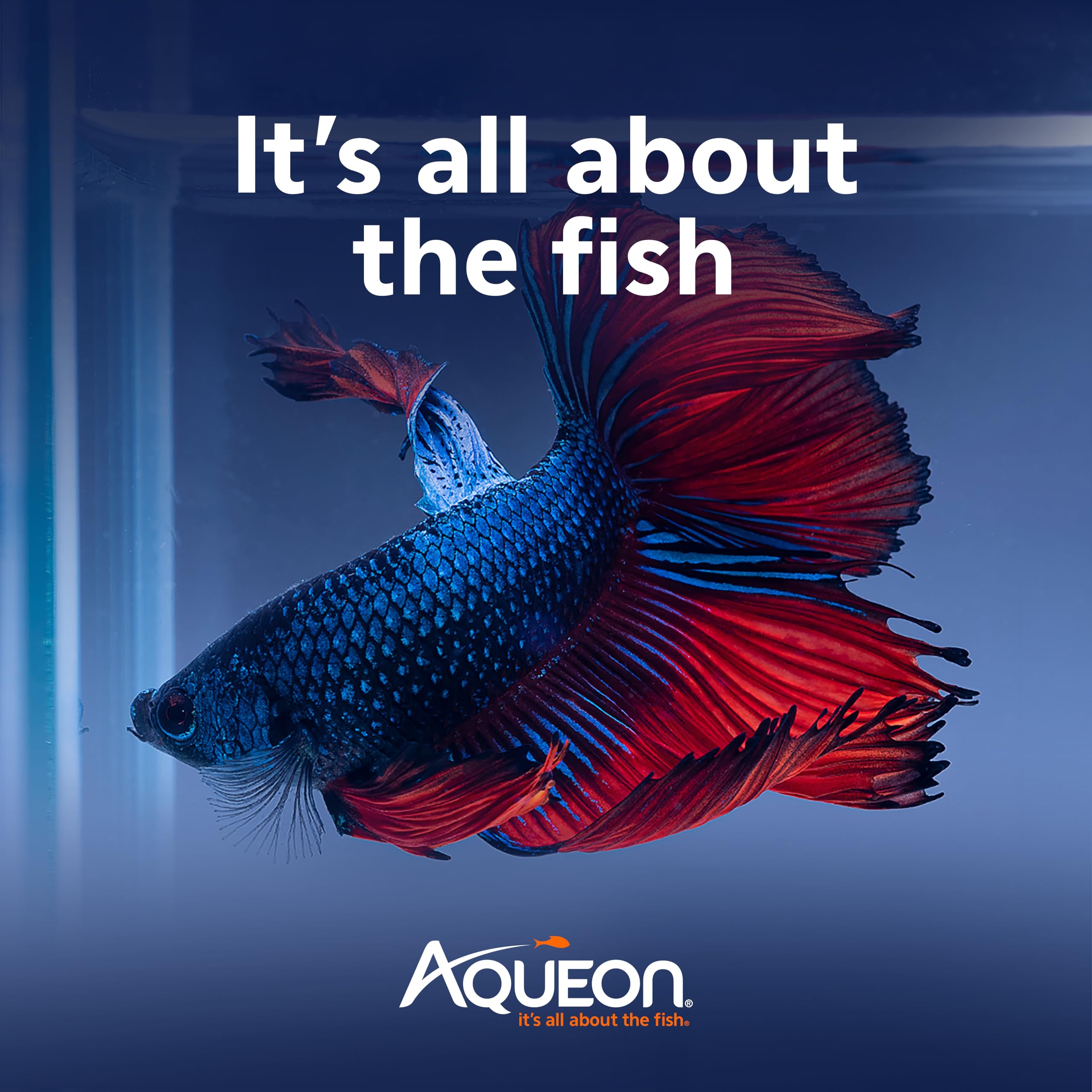 Aqueon PURE Betta Beads: cambio mensual y mantenimiento fácil.