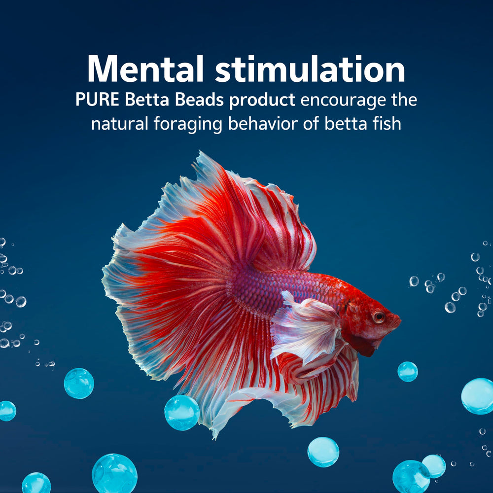 Aqueon PURE Betta Beads en juego interactivo para betta, estimulan actividad natural