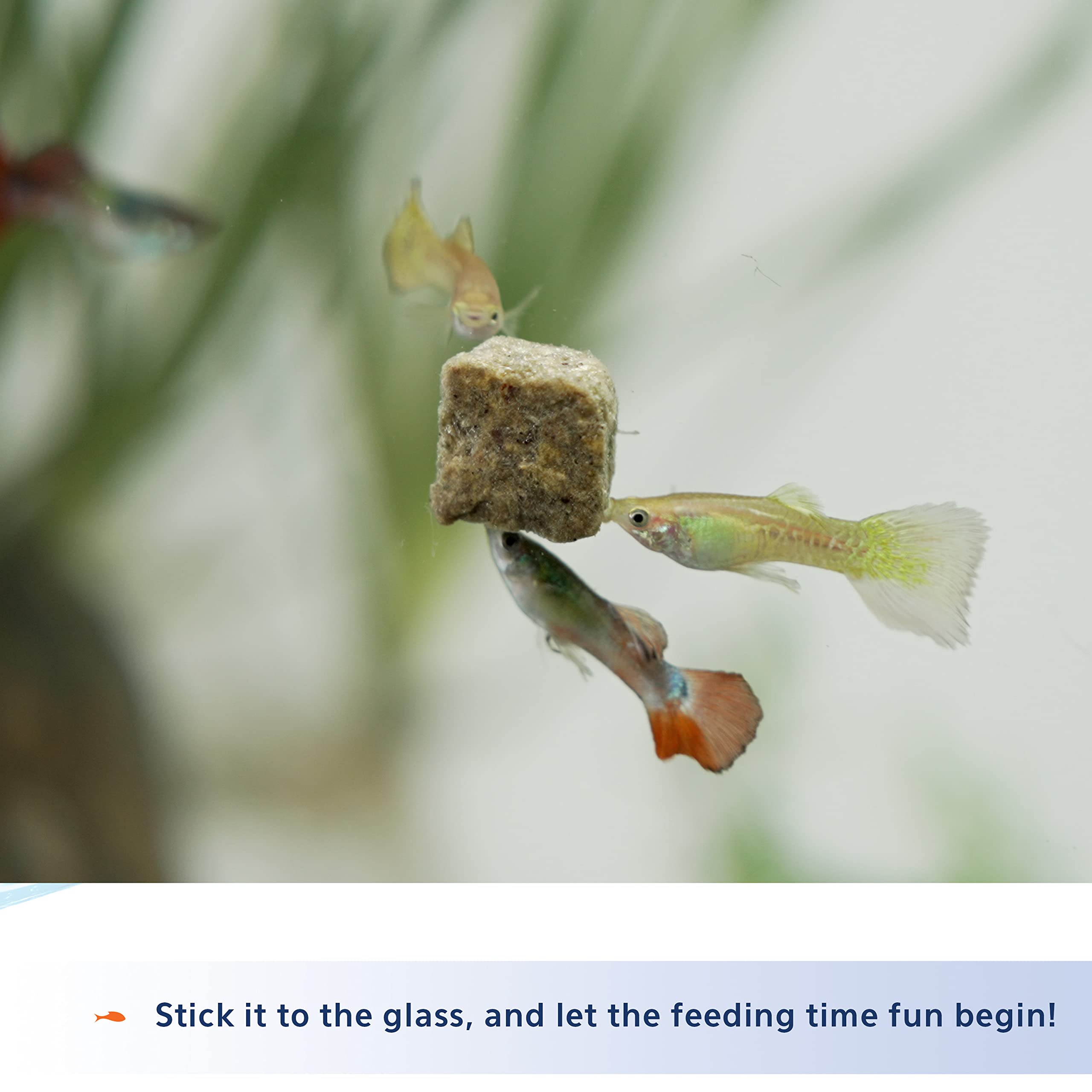 Se adhiere al tanque para alimentación cómoda con Stick'ems