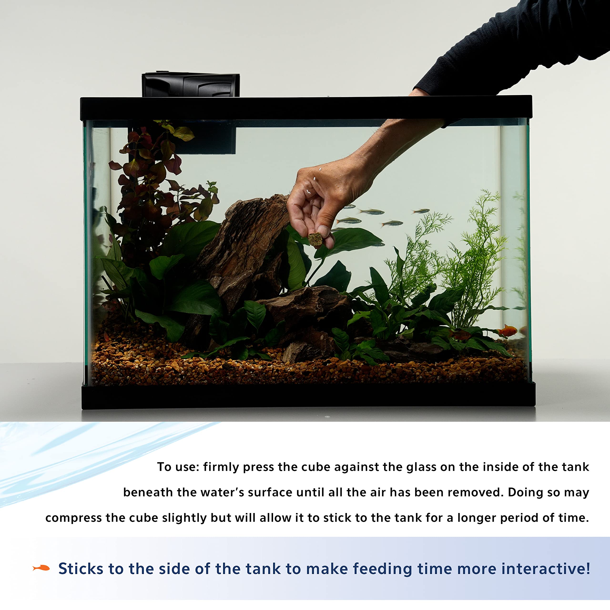 Aqueon Stick’ems muestra alta palatabilidad para peces selectivos