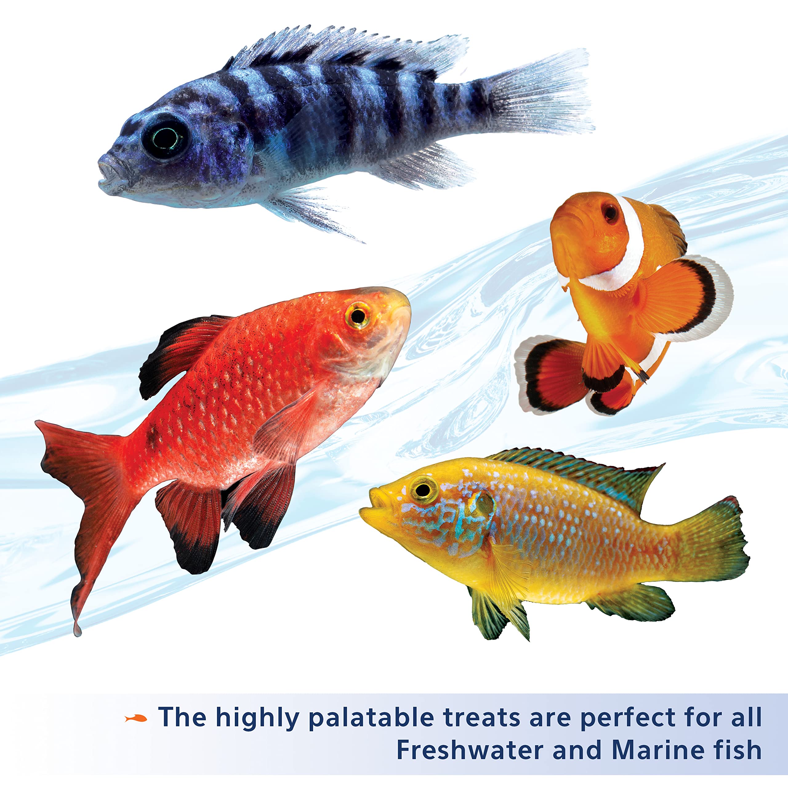 Aqueon Stick’ems apto para peces de agua dulce y marina