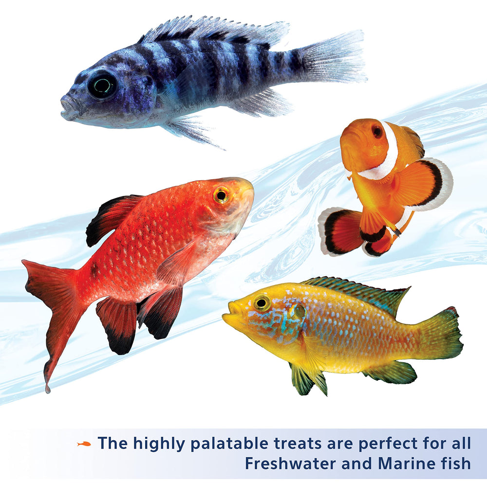 Aqueon Stick’ems apto para peces de agua dulce y marina