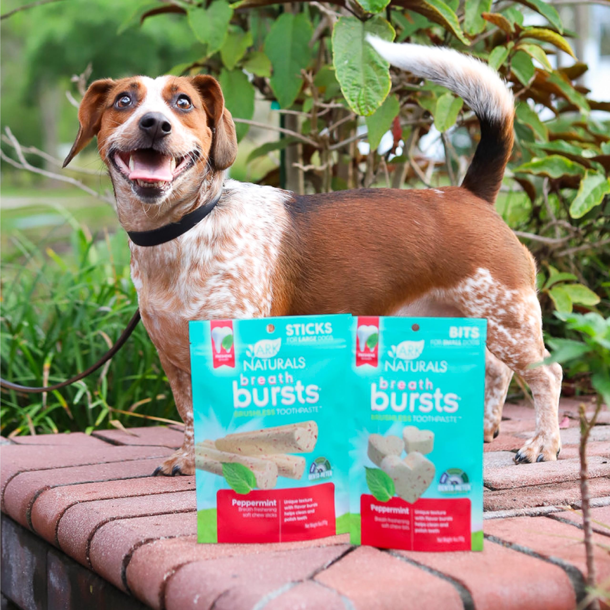 ARK NATURALS aliento fresco tras la masticación en perros grandes