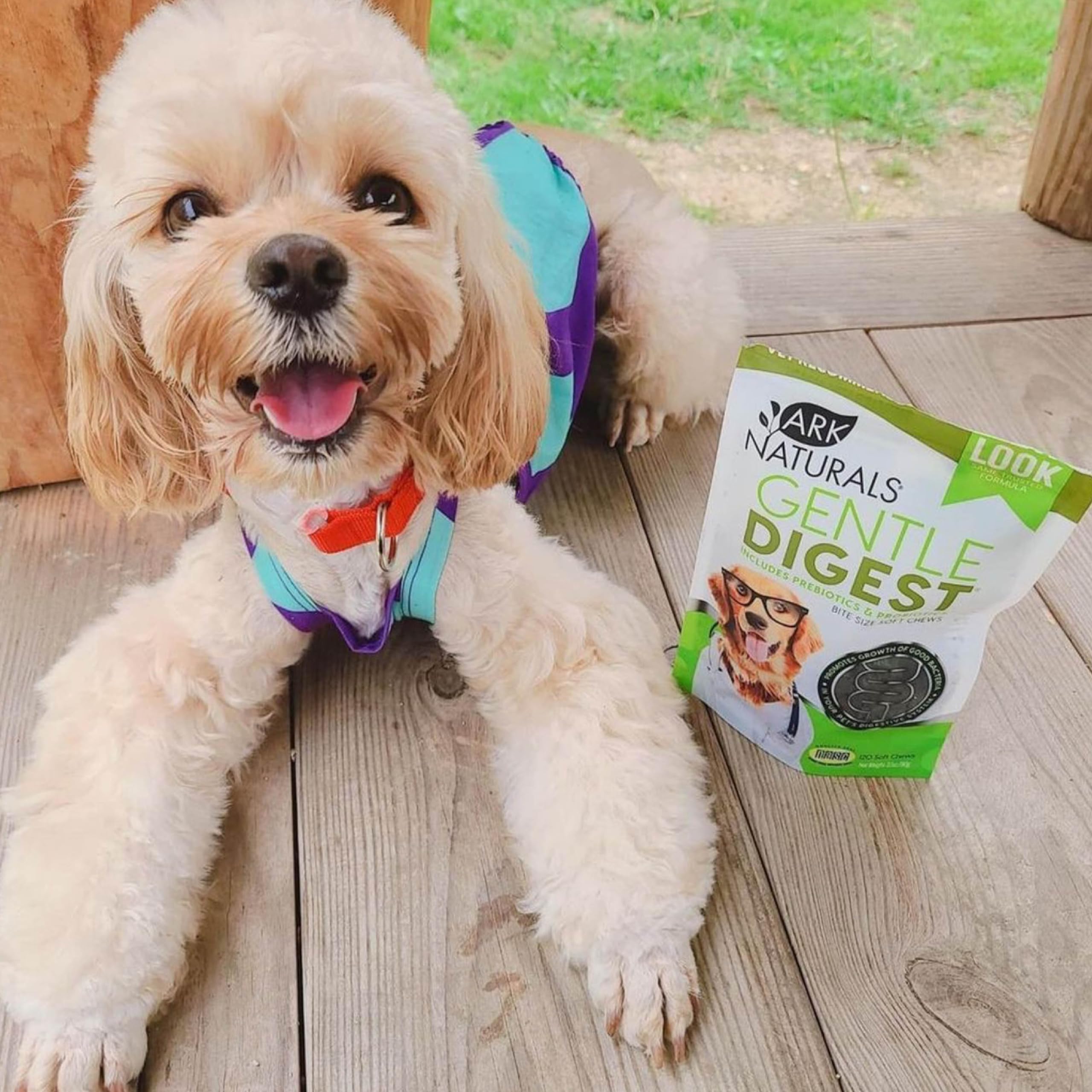Ark Naturals Digestivo Suave sin alérgenos comunes beneficia mascotas sensibles.
