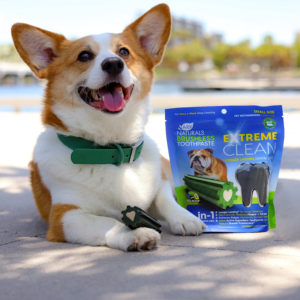 ARK NATURALS perro masticando, muestra uso semanal para higiene bucal