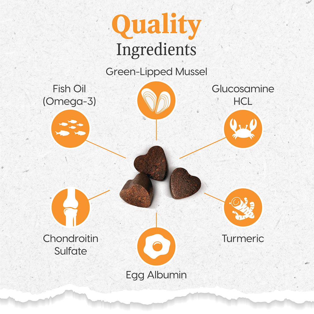 ARK NATURALS Gray Muzzle recomendado por veterinarios para movilidad canina.